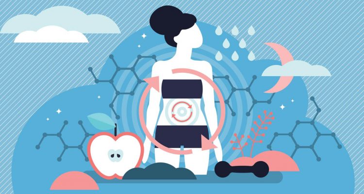 Fueling Your Gut Microbiome: How Dietary Fiber Powers Beneficial Bacteria and Metabolism